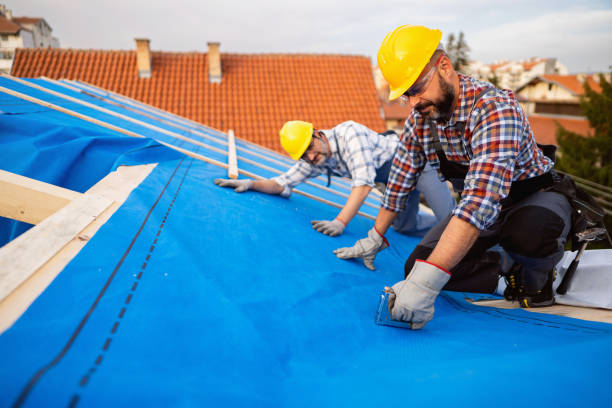 Quick and Trustworthy Emergency Roof Repair Services in Tropical Park, FL